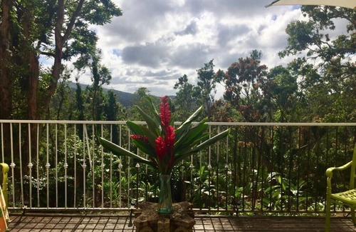 Guzman Abajo Villa | Villa Ilusion into Rainforest El Yunque