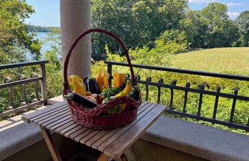 Monate Villa | Villa in Bella Italia with private beach on Lago di Monate