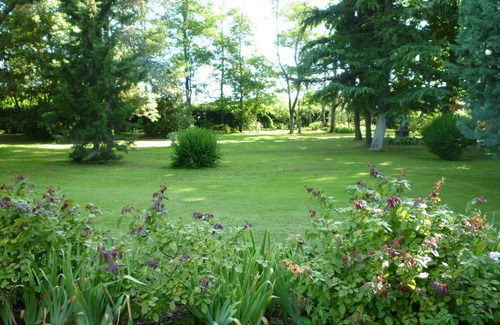 Castelvecchio Villa | Villa in park with pool