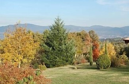 Bagnoregio Villa | Villa In The Country With Pool