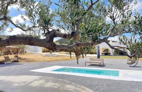 Hammam Bent Djedidi Villa | Villa in the mountains Hammamet