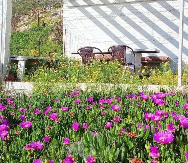 Kalymnos Apartment | Villa Irene