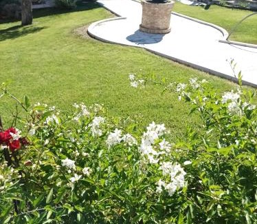 Cupello Bed & Breakfast | Villa Istonia