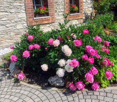 Janske Lazne House | Villa Jana