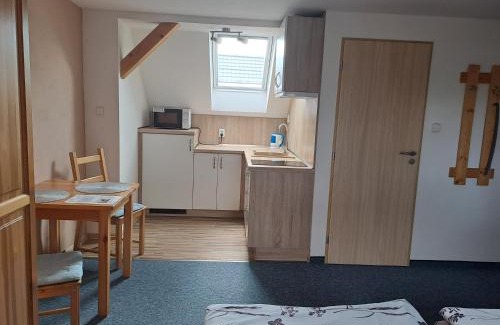 Frantiskovy Lazne Apartment | Villa Joanna