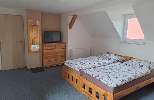 Frantiskovy Lazne Apartment | Villa Joanna