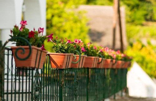 Szigliget Bed & Breakfast | Villa Kabala
