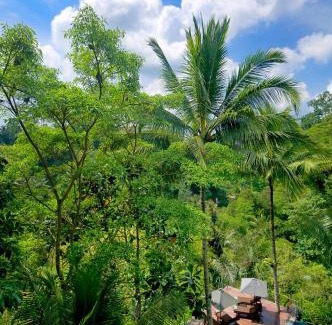 Tegallalang Villa | Villa Kalisha - Romantic, Seclusion in the heart of Nature