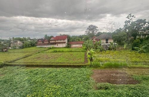 Sinduharjo Villa | Villa Kayo Kolam Renang Private