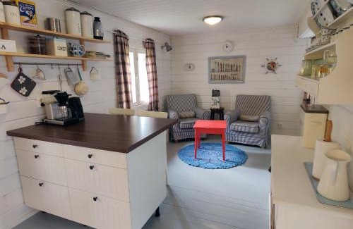 Kuorevesi Ski Chalet | Villa Kesäranta