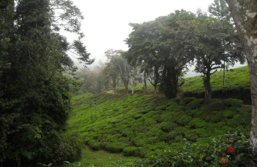 Tanga Hotel | Villa Kinyonga, Camp Mawingu