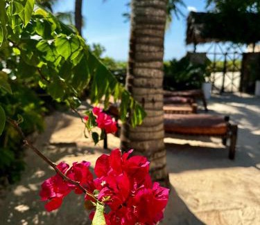 Pwani Mchangani Villa | Villa Kipara - On the Beach - Private Pool & Jacuzzi