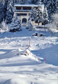 Kopaonik Apartment | Villa Kostic Kopaonik