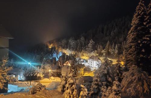 Kopaonik Apartment | Villa Kostic Kopaonik