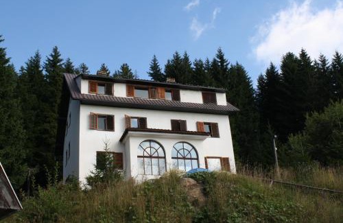 Kopaonik Apartment | Villa Kostic Kopaonik