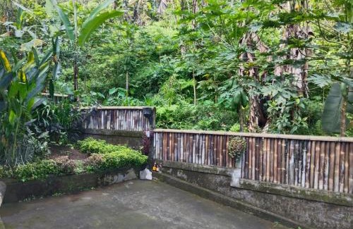 Wanagiri House | Villa Kubu Gitgit