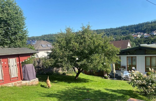 Obere Kyll Apartment | Villa Kunterbunt - double room, shared shower or bath