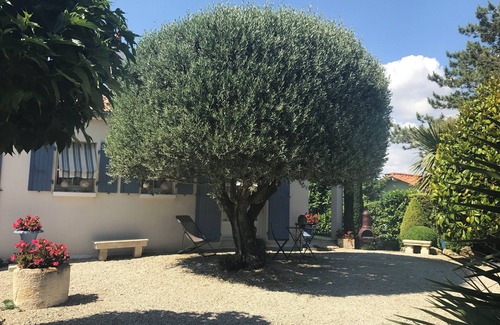 Vaux-sur-Mer Apartment | Villa l'Olivier apartment, quiet, 10-minute walk from the beach.