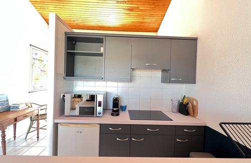 Piraillan Apartment | Villa La Conche Vue Bassin, sandy beach 200 metres away