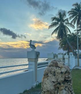 Rio Jueyes Villa | Villa Las Tres Gaviotas I
