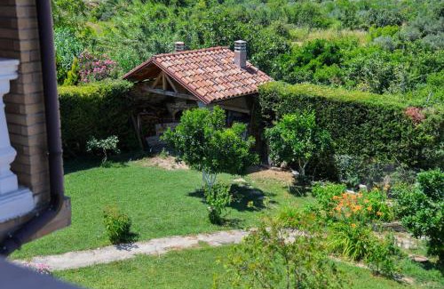 Berat Apartment | Villa Lejzo - Swimming Pool