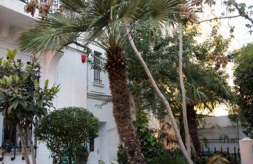 Jeanne d'Arc Bed & Breakfast | Villa Les Palmes - Chambre d'hôtes