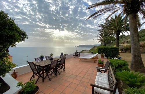 Calcatoggio House | Villa les Palmiers