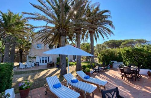Calcatoggio House | Villa les Palmiers