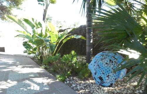 Cap de la Nau Villa | Villa les Pins