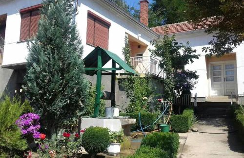 Stara Planina Villa | Villa Ljubica