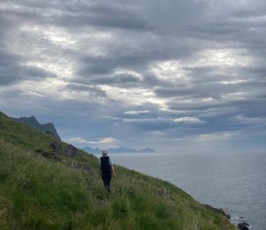 Bostad House | Villa Lofoten - The Steamery