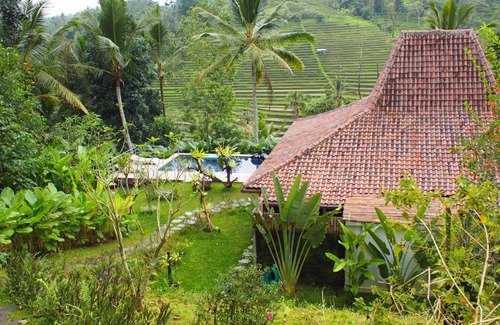 Penebel Villa | Villa Loti