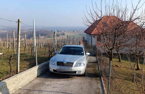 Strigova Villa | Villa Lotus