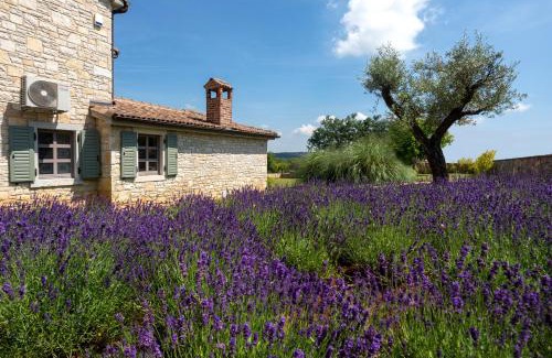 Sveti Lovrec Villa | Villa Luna
