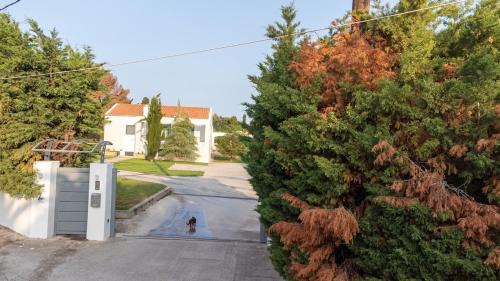 Kos Villa | Villa Luce