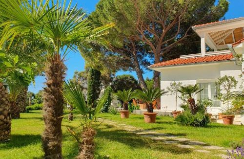 Suha Punta Apartment | Villa Lucija