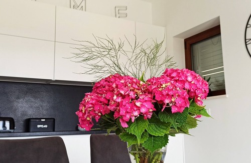 Cilipi Apartment | Villa Lucija, relaxing family gateway in Dubrovnik riviera