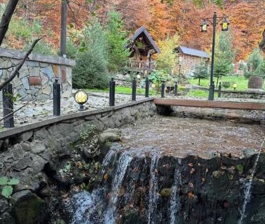 Brezovice Villa | Villa Lumi 1