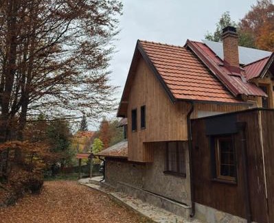 Brezovice Villa | Villa Lumi 1