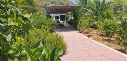 Katakali Apartment | Villa Macky