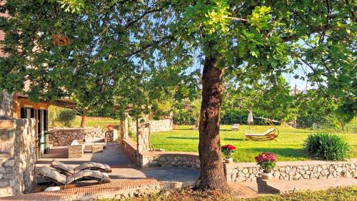 Marina Grande Villa | Villa Maiora Capri - Best Location
