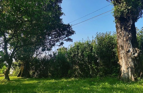 Grigoleti Villa | Villa Mandarini Grigoleti