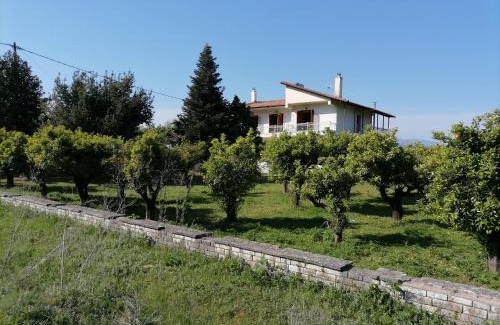 Krikellos Villa | Villa Manolia