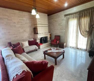 Krikellos Villa | Villa Manolia
