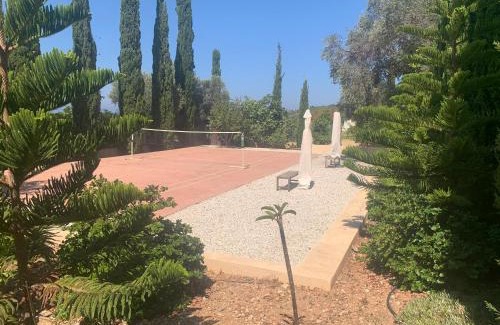 Pegeia Villa | Villa Manzanillo