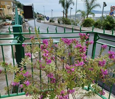 Monte di Procida Apartment | Villa Maria - Family House