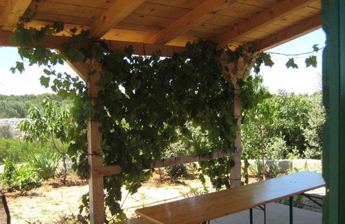 Gornje Selo House | Villa Maria holiday country family house