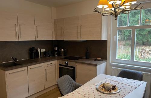 Baerenburg Apartment | Villa Marie Ferienwohnungen