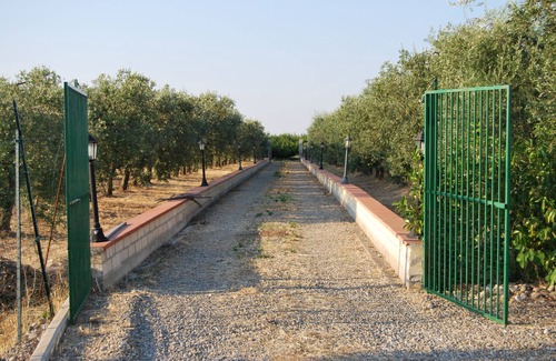 Montalbano Jonico House | Villa Marilena