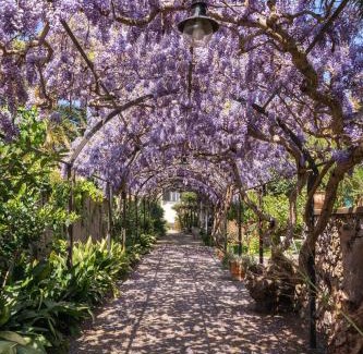 Tiberio Villa | Villa Marino in Aurora